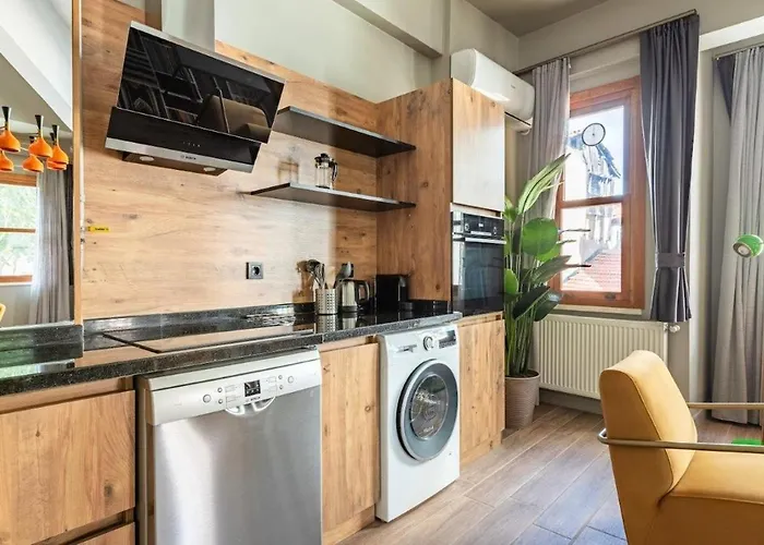 Beautiful Bright Cool Modern 1bd Balat Loft! #329 Apartmán Istanbulská provincie