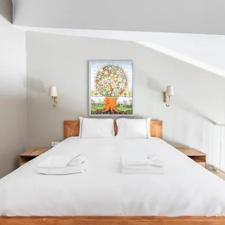 Apartment Beautiful Bright Cool Modern 1bd Balat Loft! #329