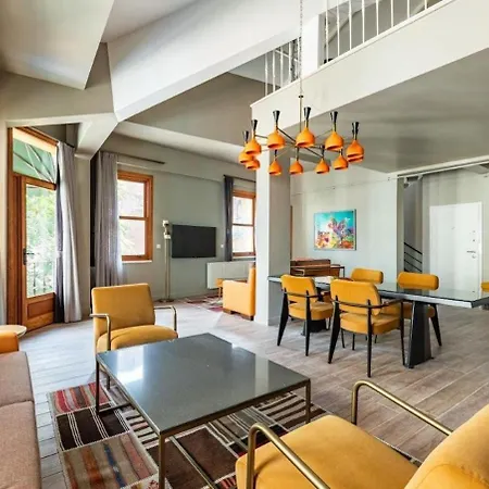 Beautiful Bright Cool Modern 1bd Balat Loft! #329 Apartman *